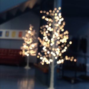 Meet your Posher, Seanna